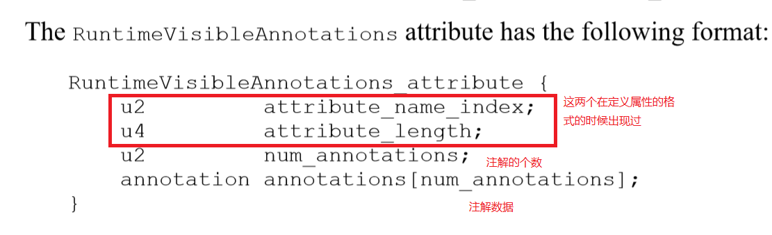 The format of RuntimeVisibleAnnotations attribute of The Java Virtual Machine Specification